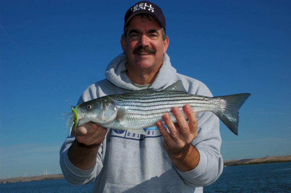 striper2